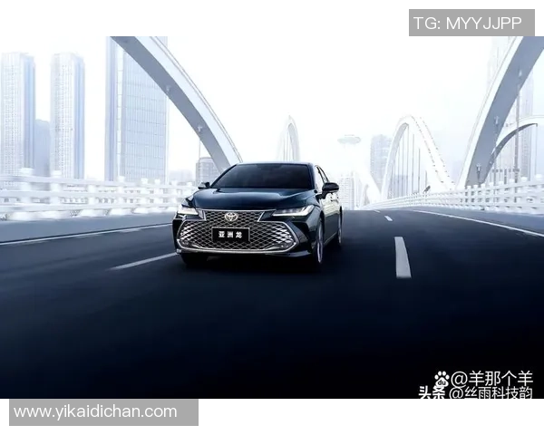 广州排球队在洲际杯积分榜中以77分稳居第一名展现强劲实力