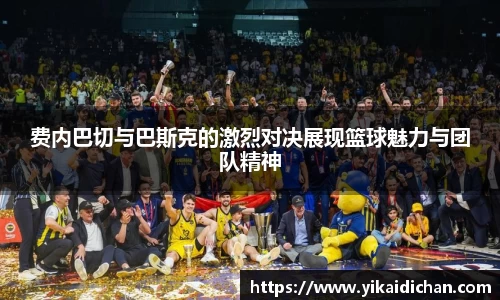 bsports必一体育